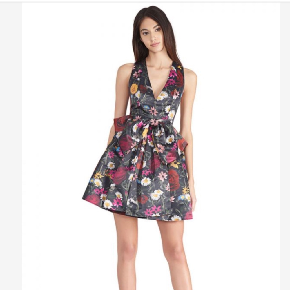 Alice+olivia Floral Print Bow Dress - Black, Size 8